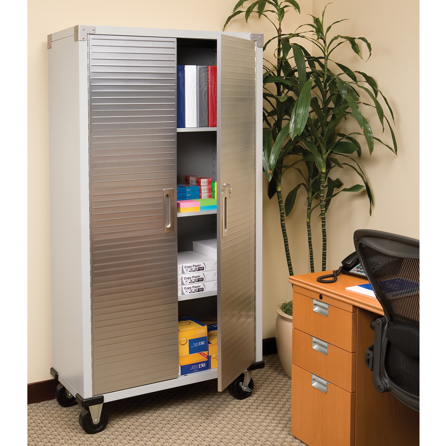 Tall Storage Cabinet